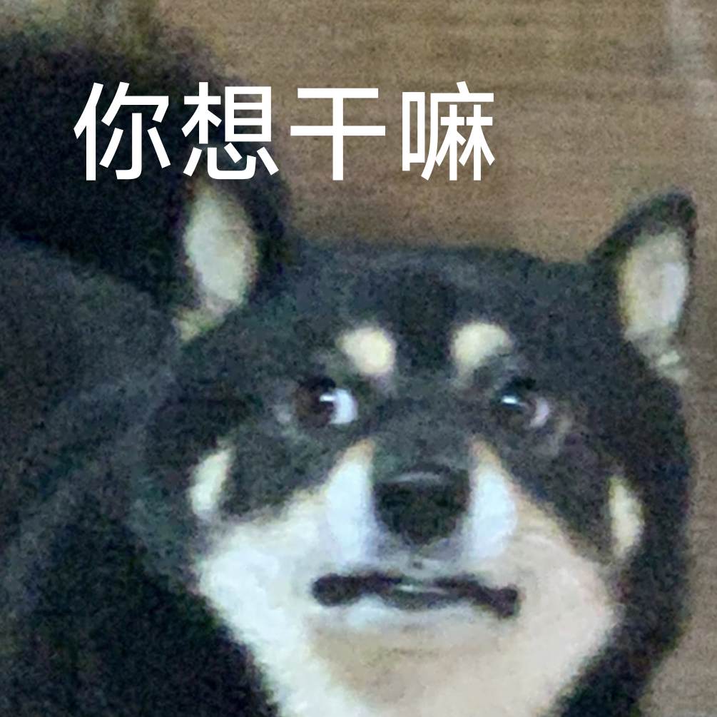 1000076547.jpg