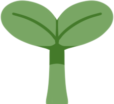 团子草（正脸）.png