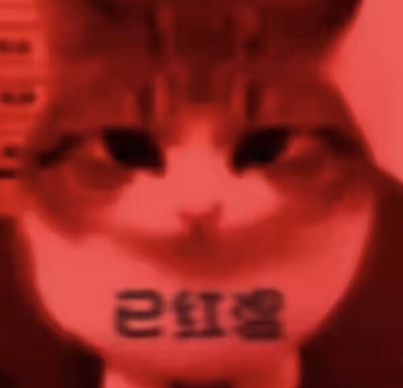 A8CABBAE-ED41-4281-AF60-E2F4522C4376.jpeg