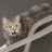img-17023640423070075ilgPgy1hetukqcxm1g301c01cmzo.gif