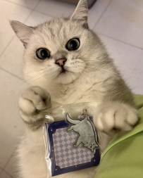 猫主播倾情推荐自己的亚克力挂件
